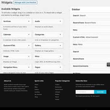 learn wordpress widgets